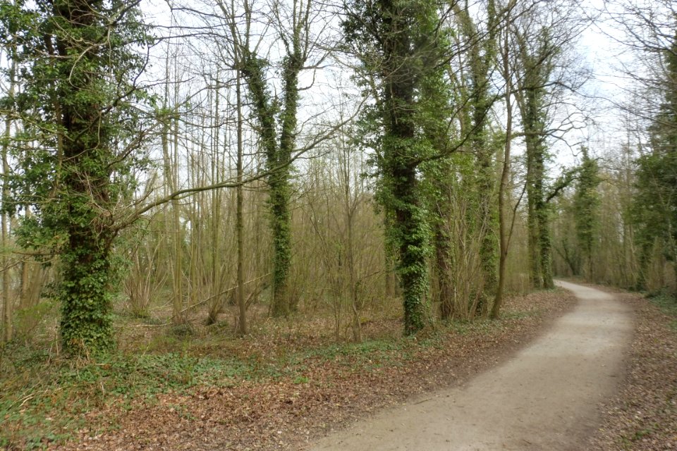 Lippstadt - Margaretensee - 11
