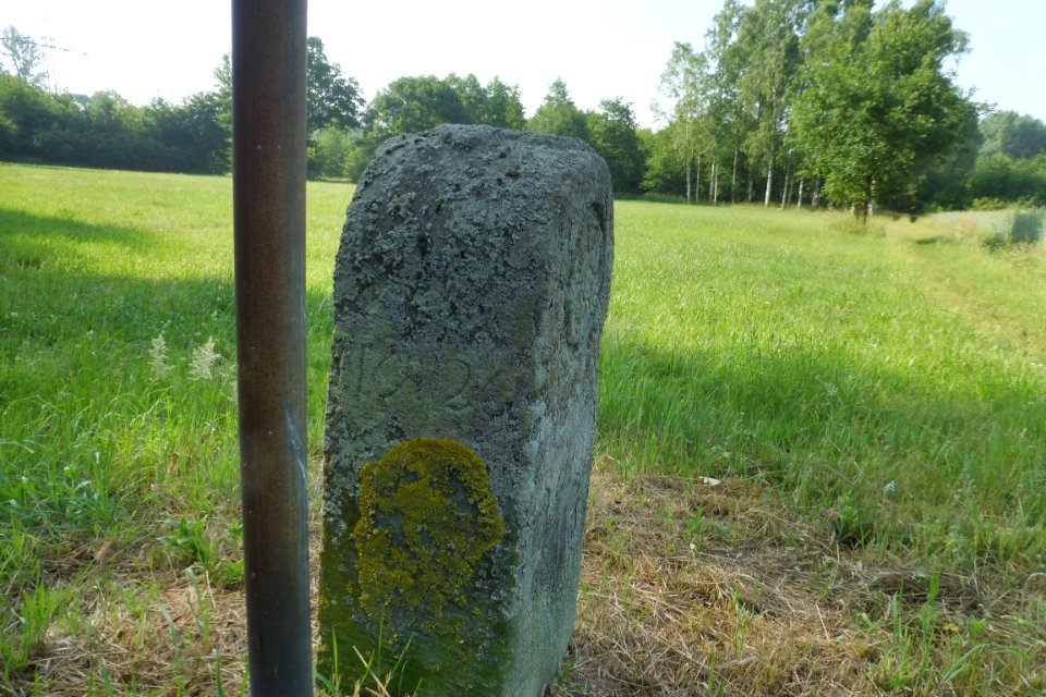 Lipperbruch - Grenzstein Nr. 20 - Seitenansicht