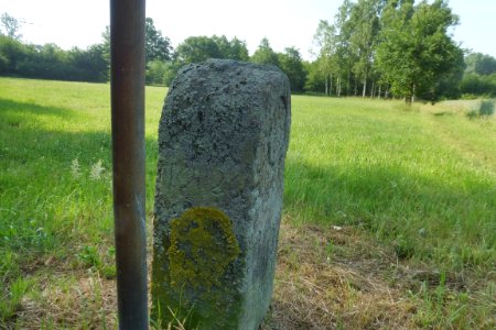Lipperbruch - Grenzstein Nr. 20 - Seitenansicht