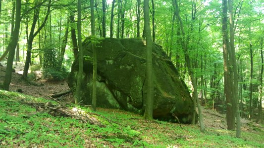 Lippische Velmerstot-Felsformation (1)