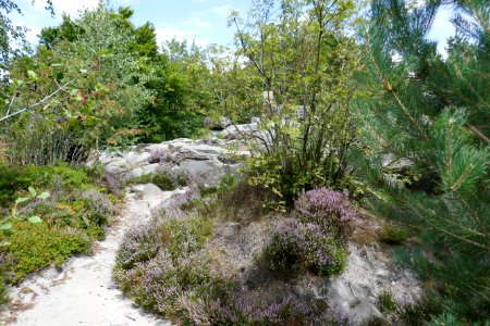 Lippische Velmerstot - 05