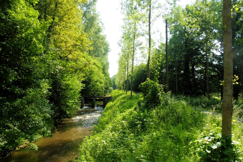 Lippstadt - Margaretensee - 9