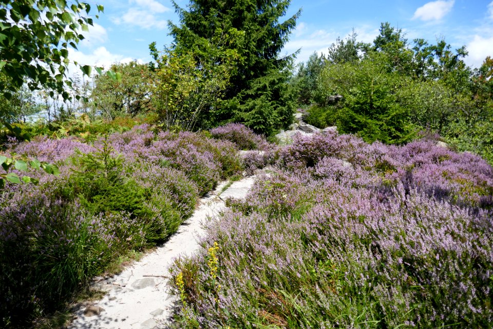 Lippische Velmerstot - 04