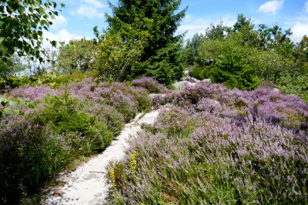 Lippische Velmerstot - 04