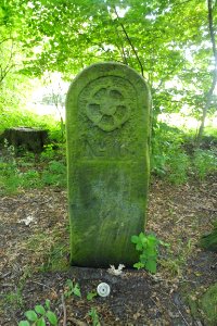 Lipperbruch - Grenzstein Nr. 16 - Lippische Seite
