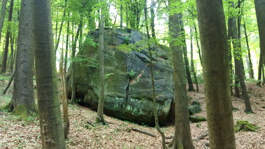 Lippische Velmerstot-Felsformation (2)