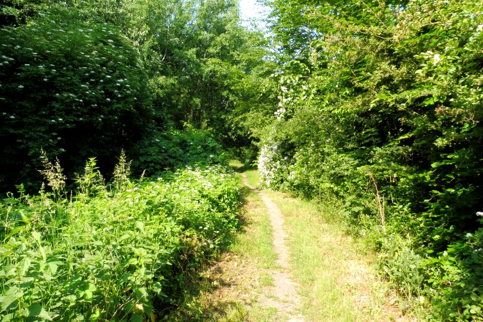 Lippstadt - Margaretensee - 6