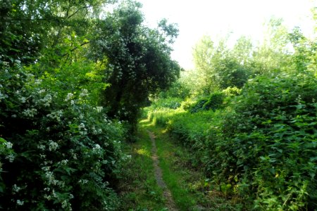 Lippstadt - Margaretensee - 3