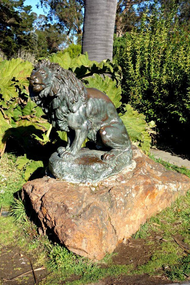 Lion by Roland Hinton Perry, 1898, bronze - De Young Museum, Golden Gate Park - DSC00133