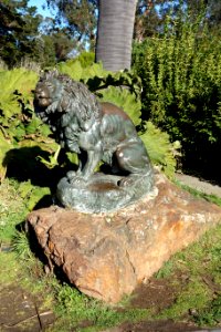 Lion by Roland Hinton Perry, 1898, bronze - De Young Museum, Golden Gate Park - DSC00133