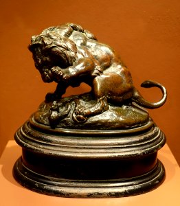 Lion and Serpent No 3 by Antoine-Louis Barye, c. 1832, bronze - Middlebury College Museum of Art - Middlebury, VT - DSC08149