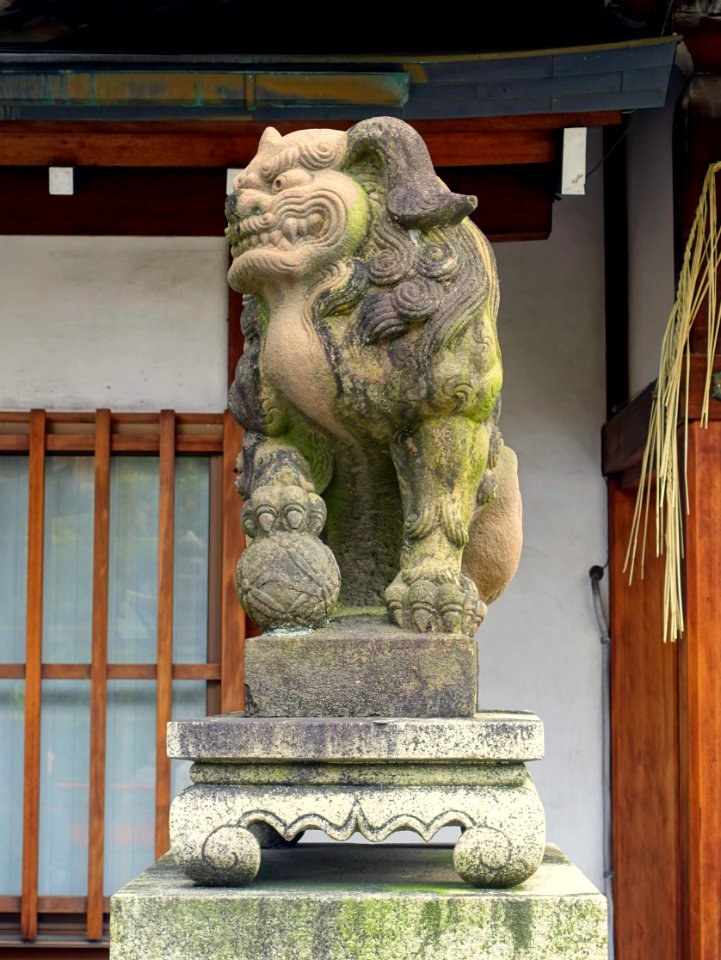 Lion at Ebisu-jinja - Kyoto, Japan - DSC07348