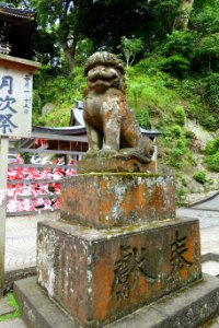 Lion 1 of 2 - Enoshima, Japan - DSC07623