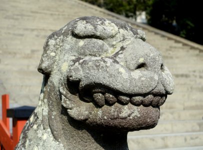Lion - Tsurugaoka Hachiman-gū - Kamakura, Kanagawa, Japan - DSC08333