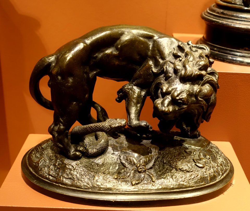 Lion Attacking a Serpent, perhaps by A. Bouché fils, undated, bronze - Middlebury College Museum of Art - Middlebury, VT - DSC08145
