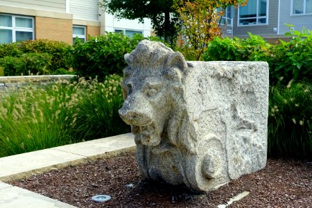 Lion on Sidney Street - Cambridge, MA - DSC07526