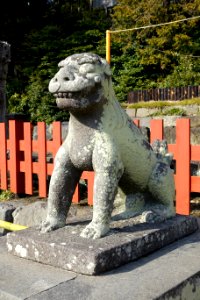 Lion - Tsurugaoka Hachiman-gū - Kamakura, Kanagawa, Japan - DSC08327