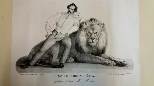 Lion de Sierra-Léona et M. Martin - Auguste Flandrin - Coste 14420 (3)