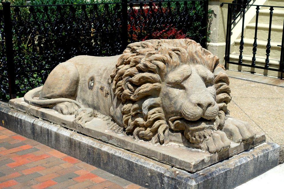 Lion of South End - Boston, MA - DSC06878