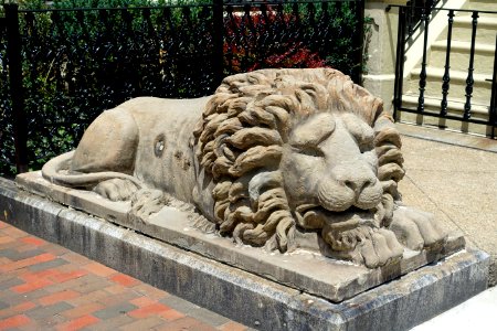 Lion of South End - Boston, MA - DSC06878 photo