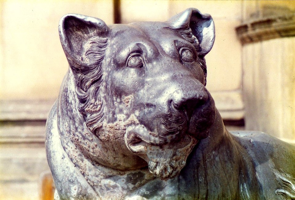 Lion Heaton Hall 1
