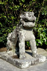 Lion - Tsurugaoka Hachiman-gū - Kamakura, Kanagawa, Japan - DSC08325