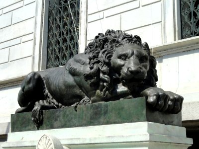 Lion - Corcoran Gallery of Art - DSC01052