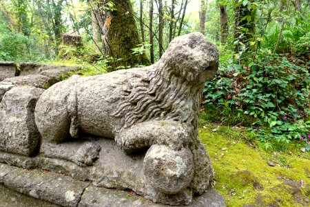 Lion - Parco dei Mostri - Bomarzo, Italy - DSC02507