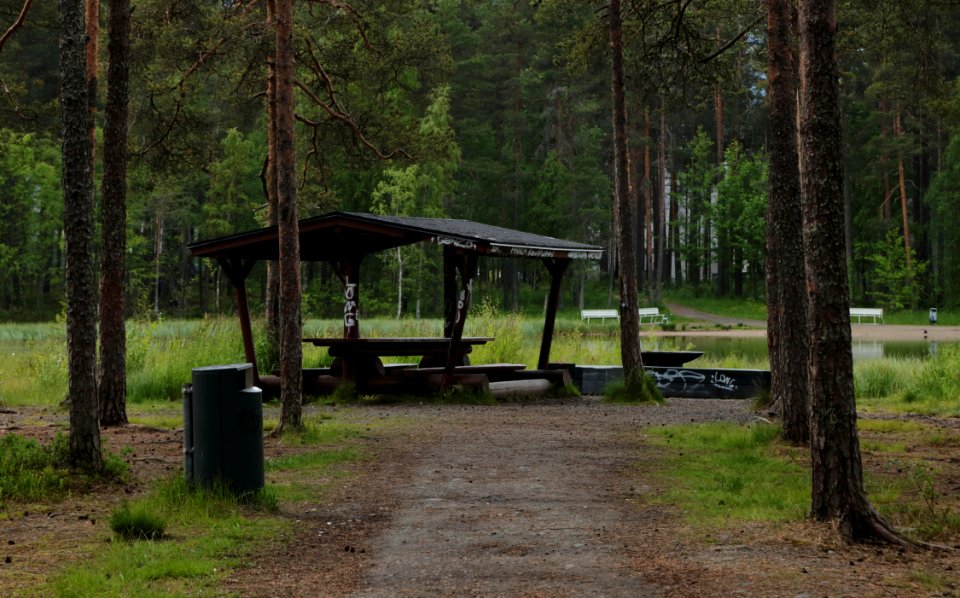 Lintulammenpuisto Oulu 20180618 01
