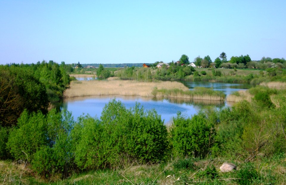 Lioliai3