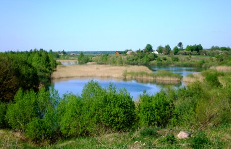 Lioliai3