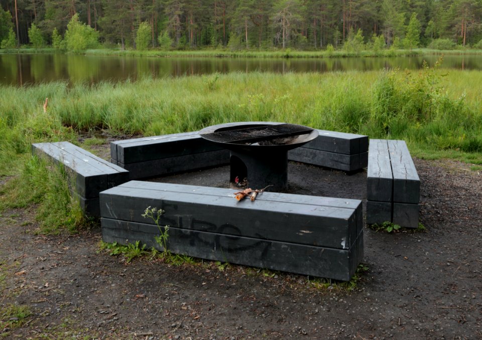 Lintulammenpuisto Oulu 20180618 02