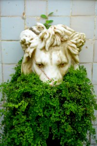 Lion - Quinta das Lágrimas - Coimbra, Portugal - DSC08757