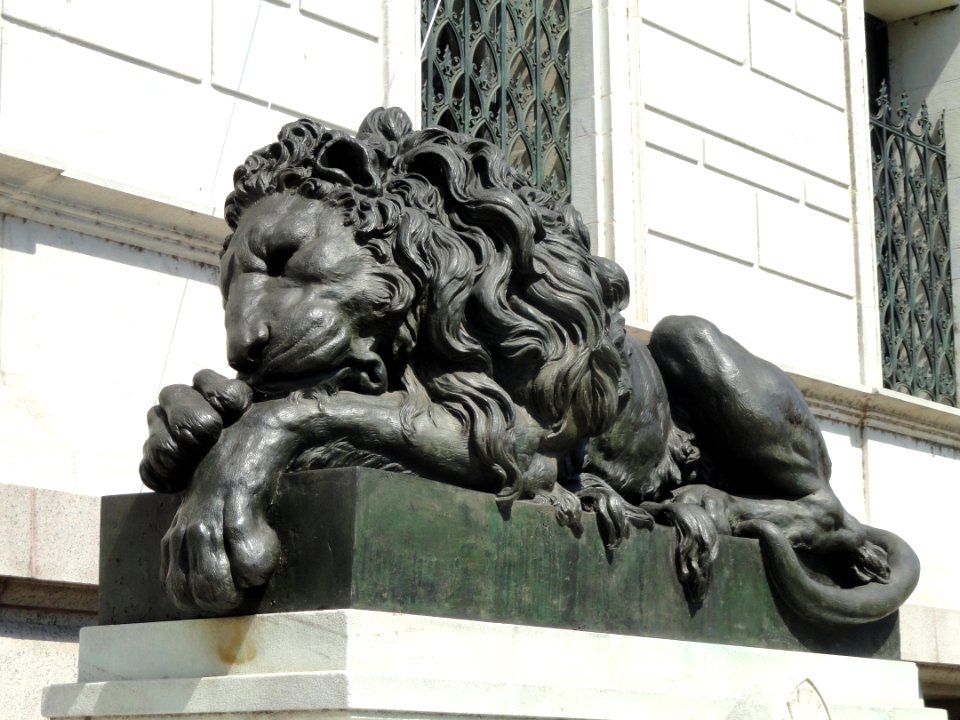 Lion - Corcoran Gallery of Art - DSC01053