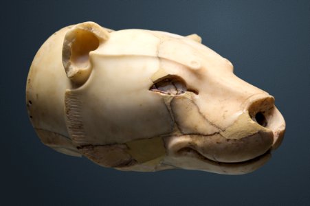 Lioness head rhyton right profile archnmus Heraklion photo