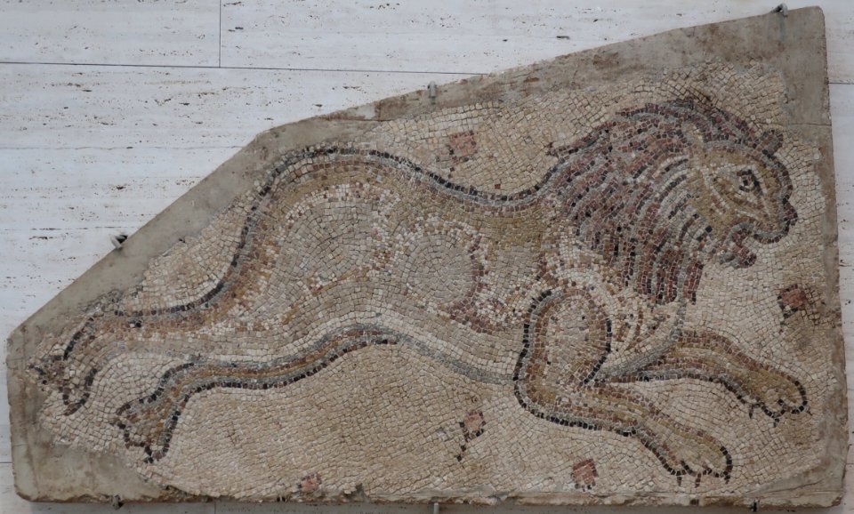 Lion, c. 450-462 CE, Roman Syria, mosaic, Kimbell Art Museum