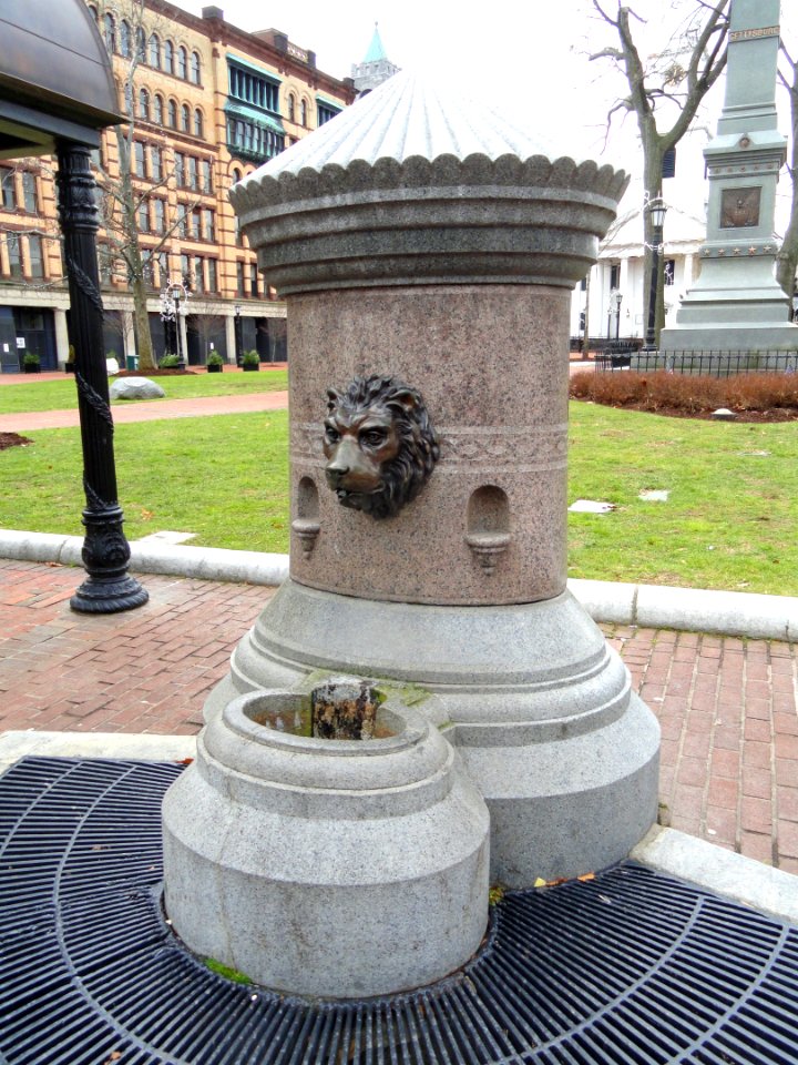 Lion's Head Drinking Fountain - Springfield, MA - DSC03245