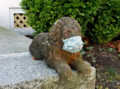 Lion - Arlington, MA - 20201203 090604