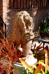 Lion - John and Mable Ringling Museum of Art - Sarasota, FL - DSC00383