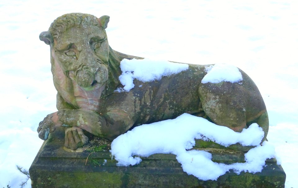 Lion - Schloss Dagstuhl - DSC06198