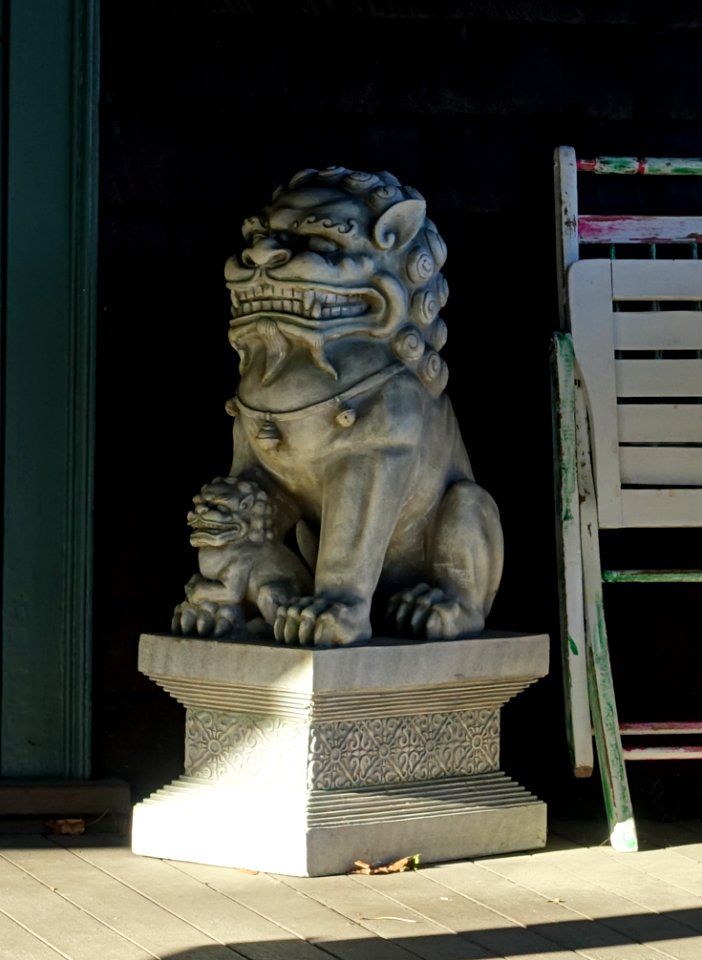 Lions - Arlington, MA - DSC03401