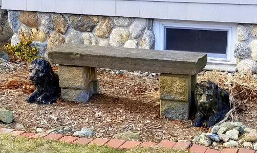 Lions - Arlington, MA - 20210111 085158