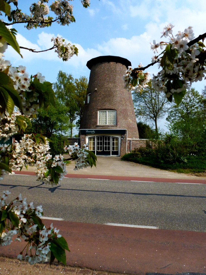 Linne (Maasgouw) Linnermolen (wind) 02