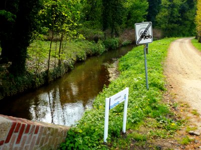 Linne (Maasgouw) Vlootbeek 02