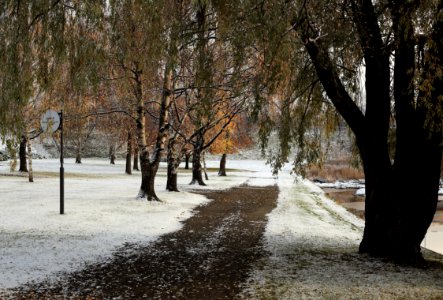 Linnansaari Oulu 20161026 03
