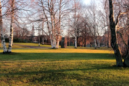 Linnansaari Oulu 20151129