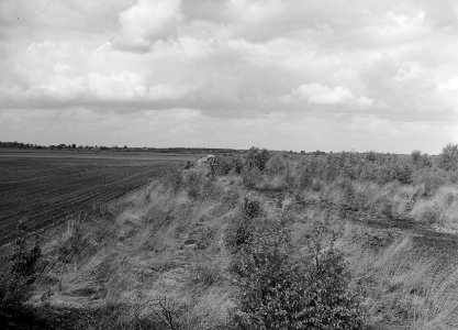 Links ontgonnen rechts woeste grond, Bestanddeelnr 250-8176