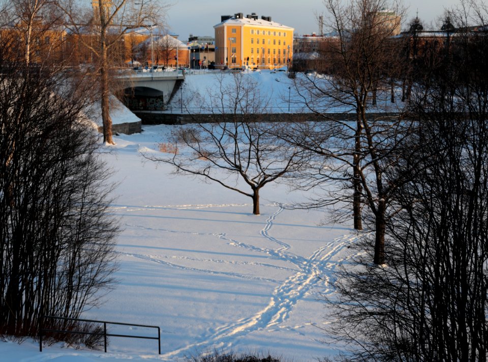 Linnansaari Oulu 20170225