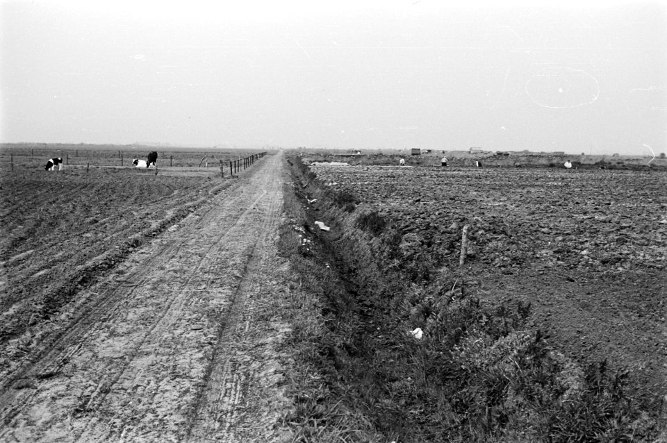 Links gereed rechts in ontginning, Bestanddeelnr 170-0346