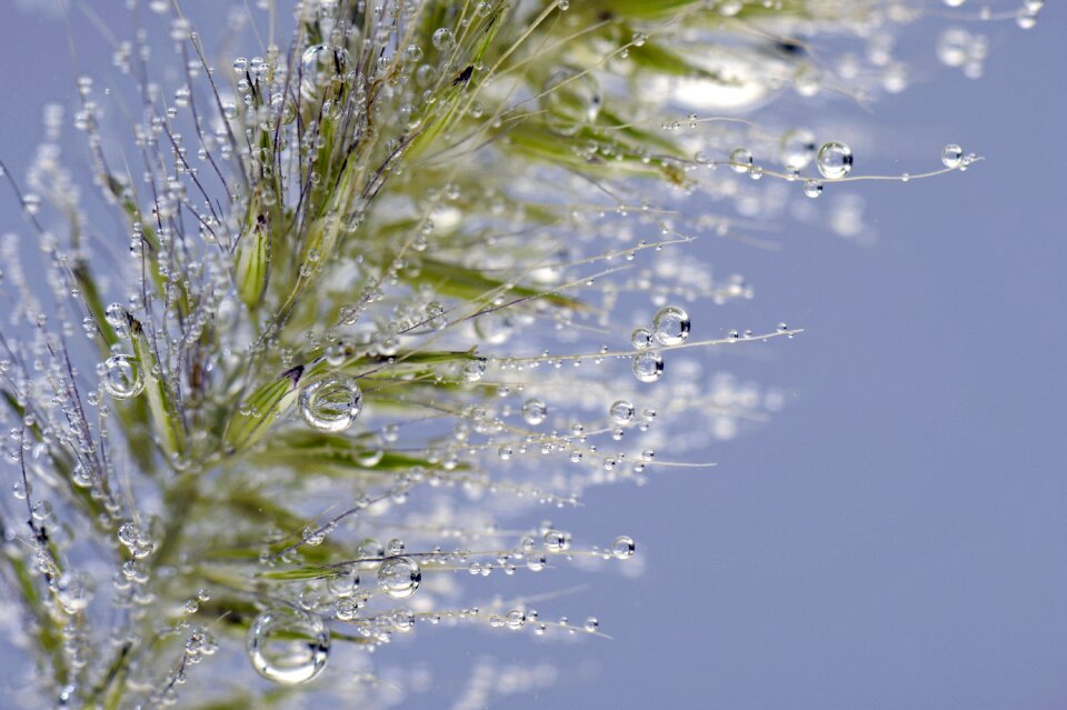 Underwater drip macro